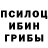 Псилоцибиновые грибы прущие грибы Sunday2pm *