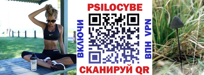 дарнет шоп  Алексин  Псилоцибиновые грибы GOLDEN TEACHER 